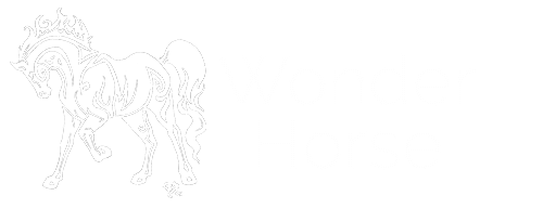 Wonder Horse Healing
