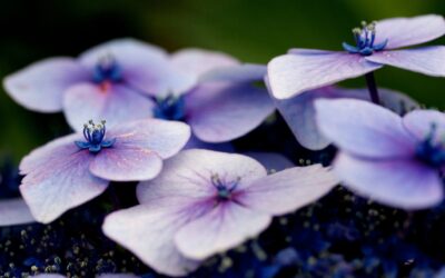 Energy Healing with Qigong: An Integrative Approach to Pediatric Care
